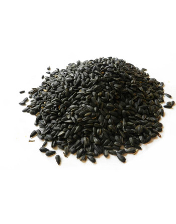 Slunečnice krmná černá (pytel 35kg) *