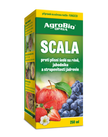 Scala 250ml