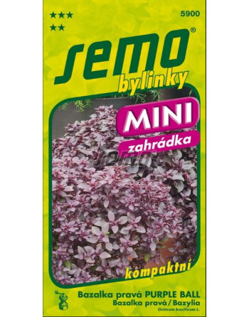 Bazalka PURPLE BALL červená drobnolistá