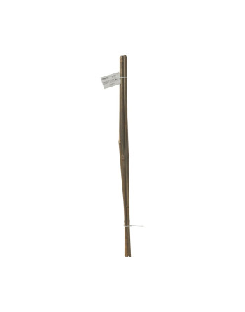 bambus.tyč,O 10-12mm x105cm,sada 5ks