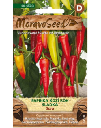 Paprika zel. SORA MS/kozí roh sladký