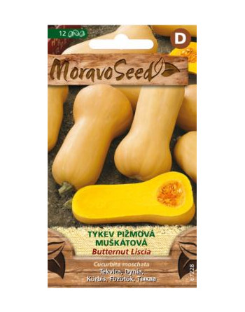 Tykev piž. BUTTERNUT LISCIA MS/muškát.